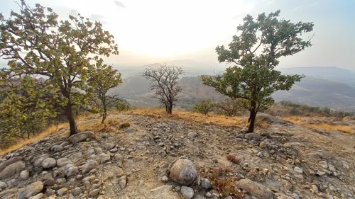 Best Hikes and Trails in Área Natural Protegida Bosque el Nixticuil