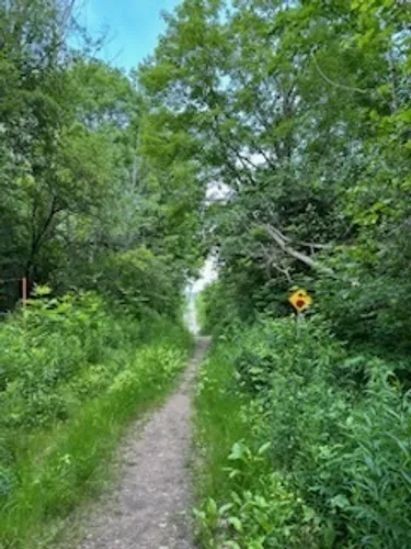 2023 Best Lake Trails in Pretty River Valley Provincial Park | AllTrails