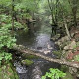 Danforth Falls Loop Trail, Massachusetts - 643 Reviews, Map | AllTrails