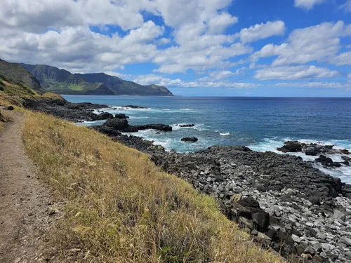 THE BEST 10 Hot Dogs near NORTH SHORE, WAIALUA, HI - Last Updated