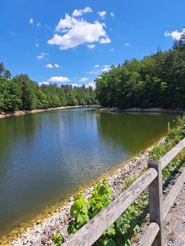 Bärensee Rundweg