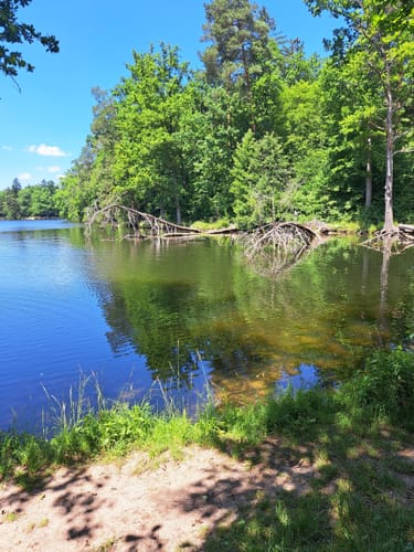 Bärensee Rundweg
