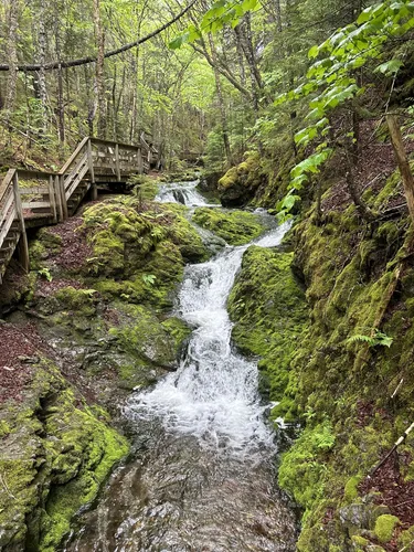 Exploring Fundy National Park's Laverty Falls