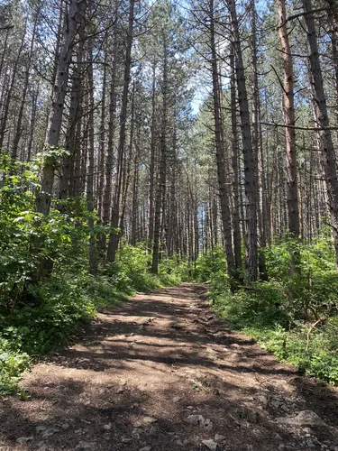 2023 Best Trails, Walks, and Paths in Istočni Stari Grad AllTrails