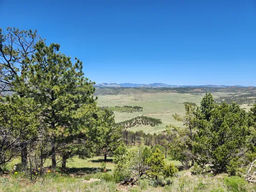 10 Best Trails And Hikes In Cripple Creek | AllTrails