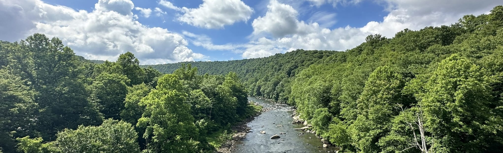 Allegheny Highlands Trail Ft. Hill to Markleton, Pennsylvania 16