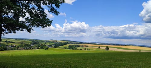 Rund um den Streitwald
