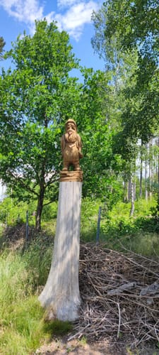 Rund um den Streitwald