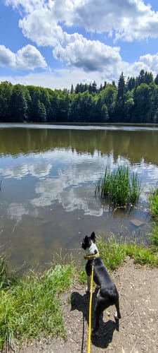 Rund um den Streitwald