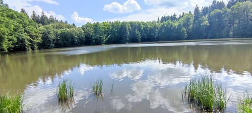 Rund um den Streitwald