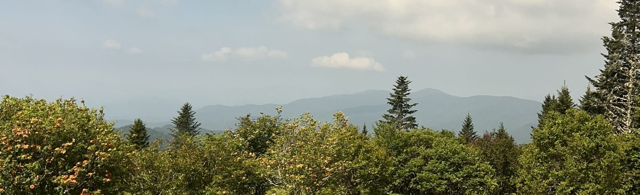 Forney Ridge Trail from Clingman's Dome to Buckhorn Bald, North ...