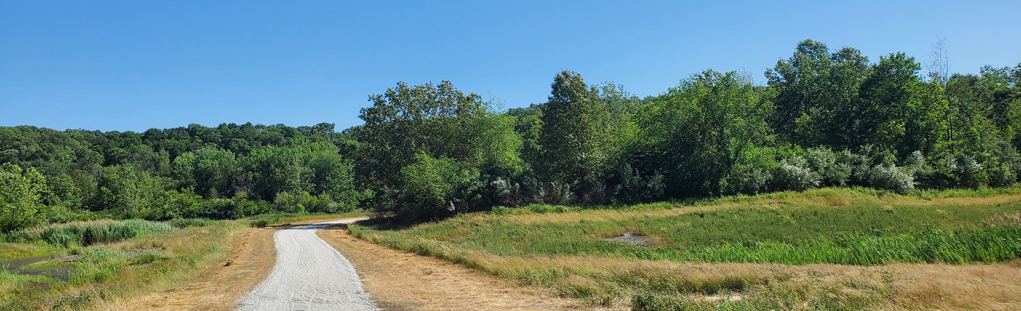 kickapoo mountain bike trails