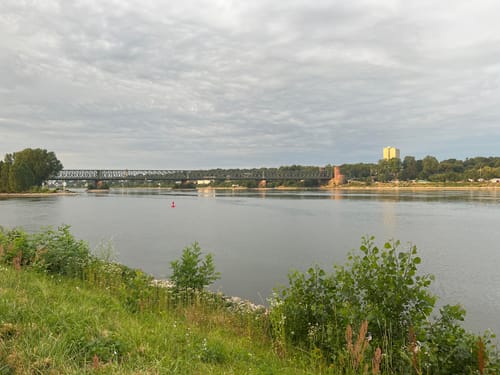 Mainzer Brückentour