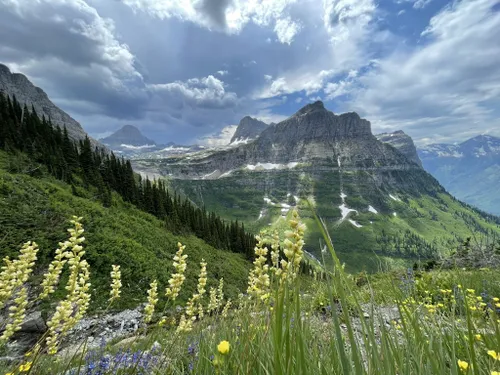 10 Best Hikes and Trails in Glacier National Park