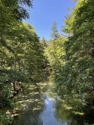 Pfeiffer big sur outlet state park hiking