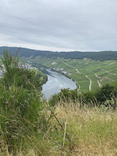 Minheimer Wald (RW 3)