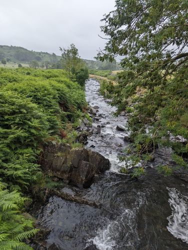 Photos of Low Moor Wood to Banishead Quarry - Cumbria, England