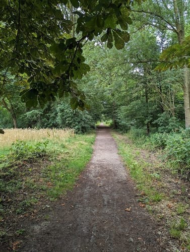 Pesch Rundweg A7