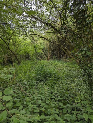 Pesch Rundweg A7
