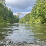 Elk River Falls Trail, North Carolina - 678 Reviews, Map | AllTrails