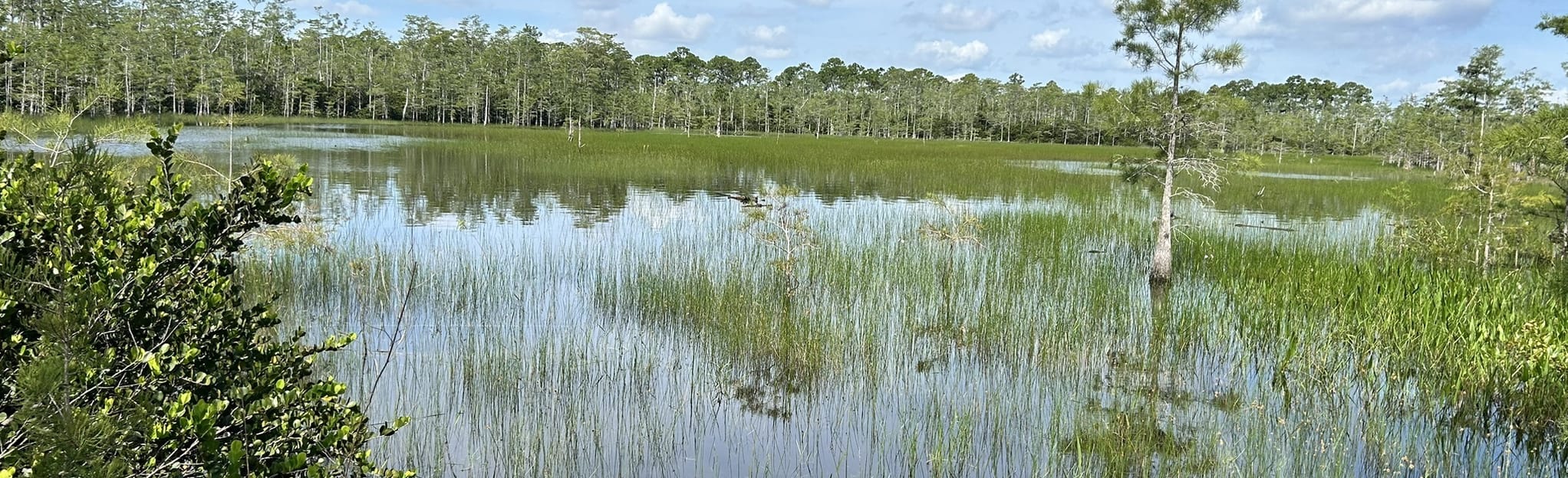 Apoxee and Owahee Trail Loop Florida - EyJidWNrZXQiOiJhc3NldHMuYWxsdHJhaWxzLmNvbSIsImtleSI6InVwbG9hZHMvcGhvdG8vaW1hZ2UvNjE2NTAwNDIvMTg3NTMyOWFmOTEwNTBjODRiNmJjZGZhMmQxOWExNzIuanBnIiwiZWRpdHMiOnsidG9Gb3JtYXQiOiJqcGVnIiwicmVzaXplIjp7IndpZHRoIjoyMDQ0LCJoZWlnaHQiOjYyNCwiZml0IjoiY292ZXIifSwicm90YXRlIjpudWxsLCJqcGVnIjp7InRyZWxsaXNRdWFudGlzYXRpb24iOnRydWUsIm92ZXJzaG9vdERlcmluZ2luZyI6dHJ1ZSwib3B0aW1pc2VTY2FucyI6dHJ1ZSwicXVhbnRpc2F0aW9uVGFibGUiOjN9fX0=