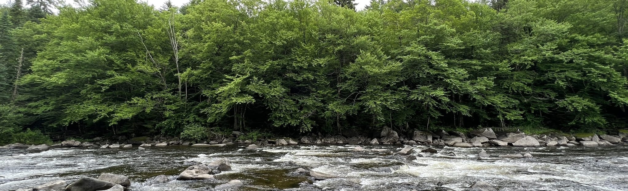 Lake Francis State Park River Trail, New Hampshire 91 Reviews, Map AllTrails
