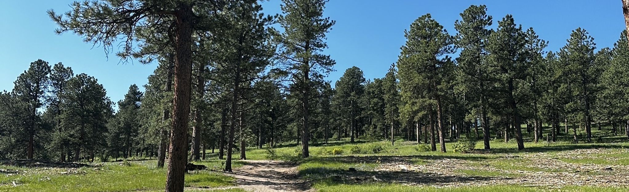 Sleepy's Trail, Colorado - 95 Reviews, Map | AllTrails