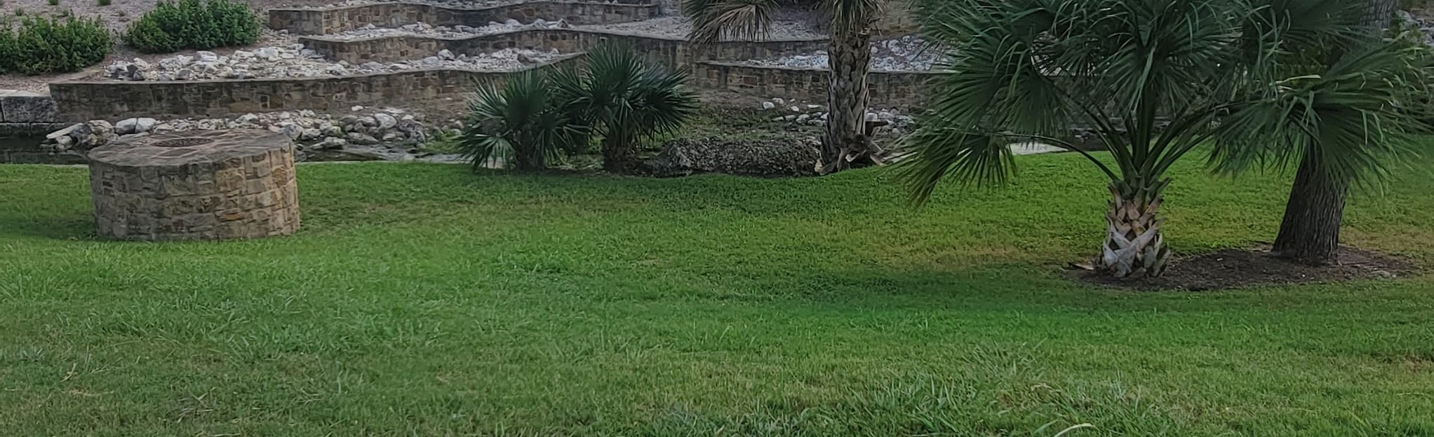 Walnut Springs Trail via Walnut Springs Park 31 Reviews, Map Texas AllTrails