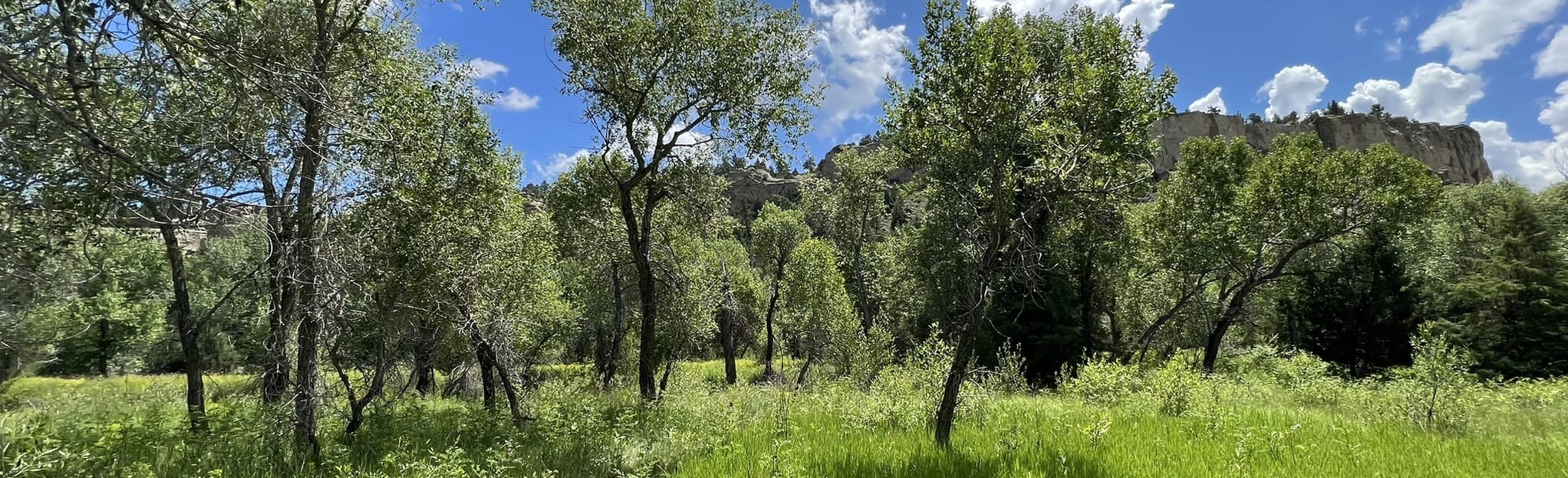 Four Dances Trail, Montana - 371 Reviews, Map | AllTrails
