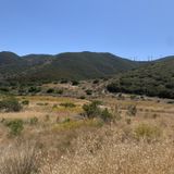 Grasslands Loop Trail, California - 1,408 Reviews, Map | AllTrails