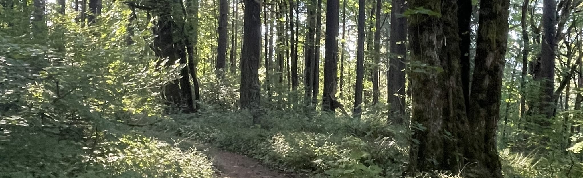 Alder Trail, Oregon 65 Reviews, Map AllTrails