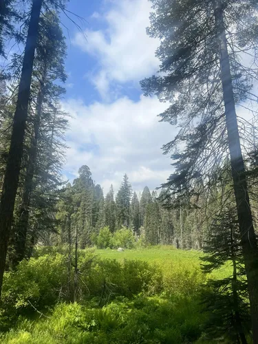 Sequoia national park clearance alltrails