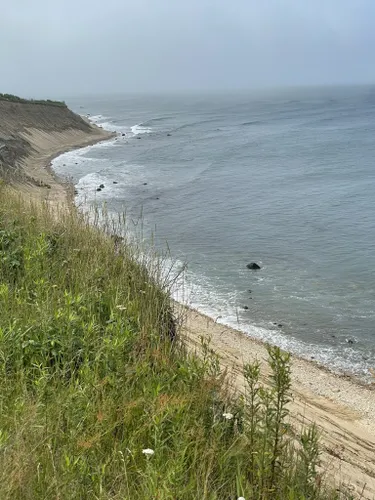 2023 Best Wild Flowers Trails In Block Island Alltrails