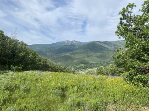 Wasatch mountain state park hiking hotsell