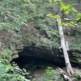 Sand Cave Trail, Kentucky - 302 Reviews, Map | AllTrails