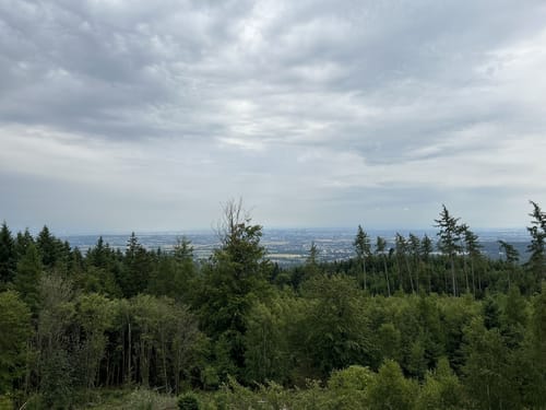 Vom Kastell Saalburg zum Silberküppel