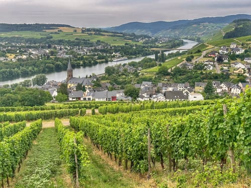 Rund um der Mosel von Bernkastel-Kues