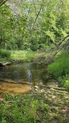 Minnetonka Big Willow