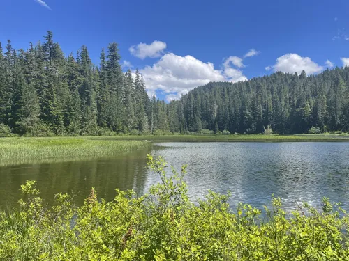 Best Hot Springs Trails in Olympic National Park AllTrails