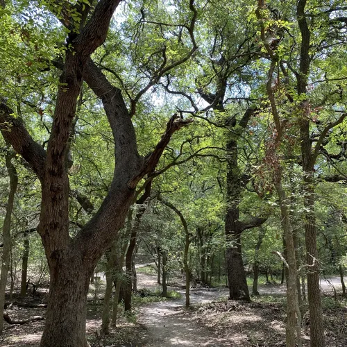 Best Hikes and Trails in Culebra Creek Park AllTrails