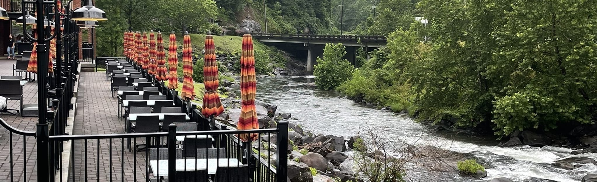 Bear Creek Falls Trail, North Carolina 91 Reviews, Map AllTrails