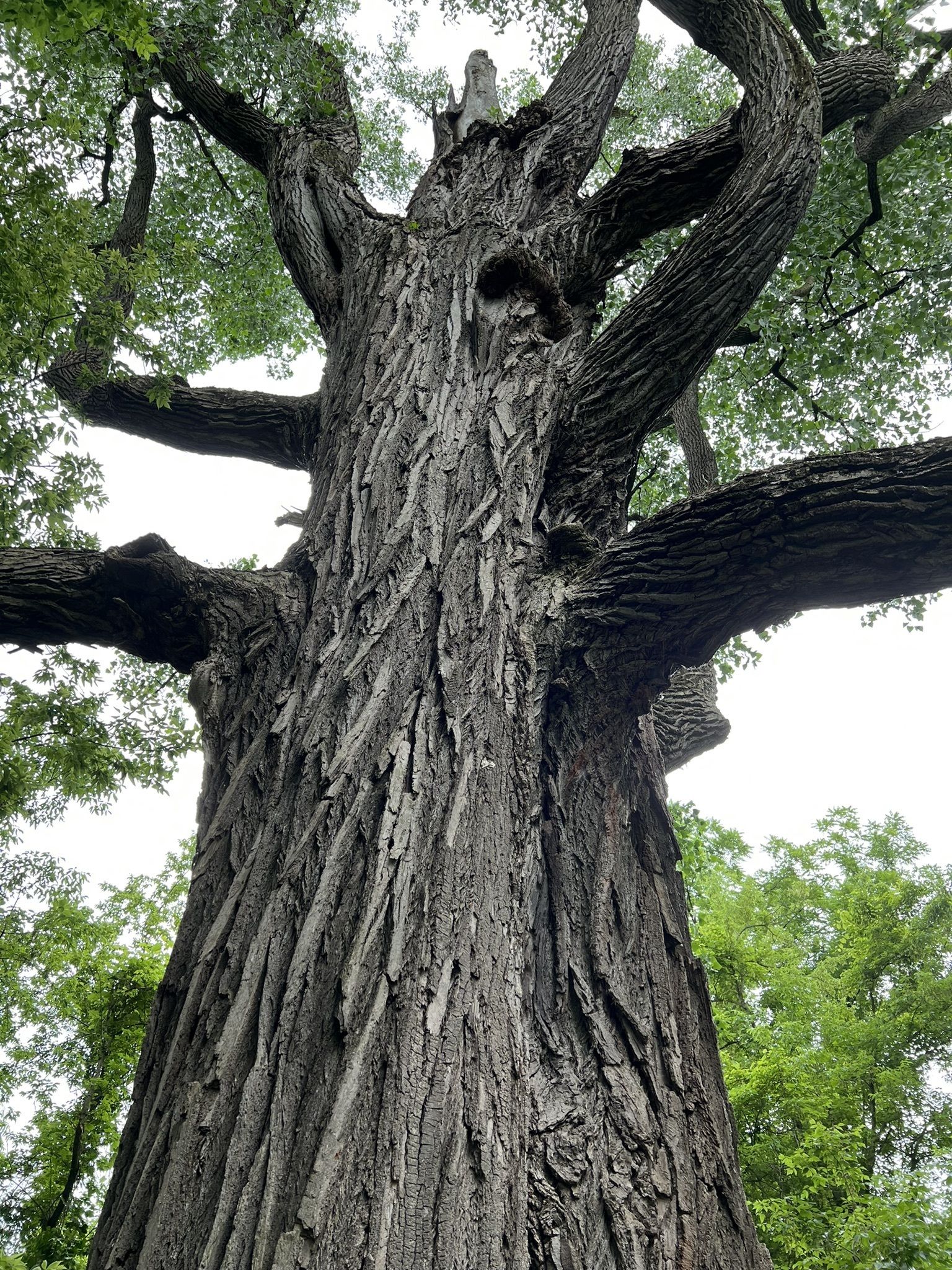 Photos of Lorain, Ohio forest trails | AllTrails