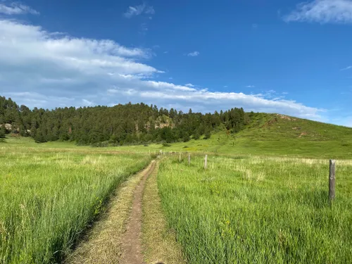 10 Best Trails and Hikes in Spearfish | AllTrails