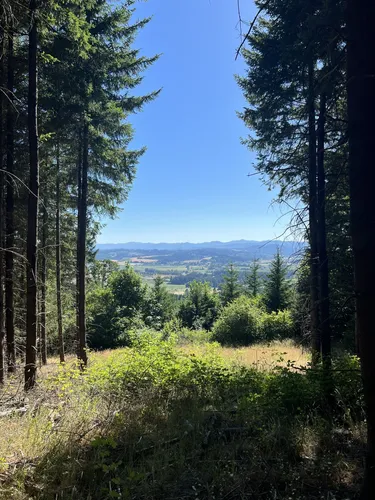 Best Hikes and Trails in Chehalem Ridge Natural Area | AllTrails