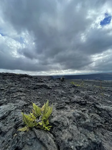 10 Best Hikes and Trails in Hawai'i Volcanoes National Park | AllTrails