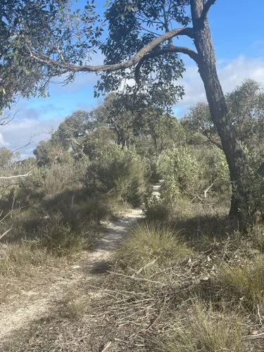 Best Hikes and Trails in Little Desert National Park | AllTrails