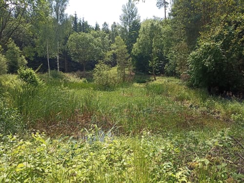 Frohnlach - Seehof - Hohe Aßlitz