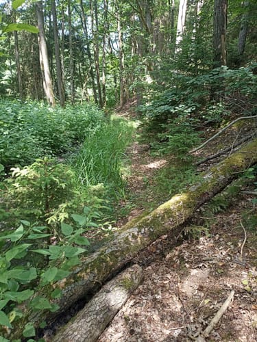 Frohnlach - Seehof - Hohe Aßlitz