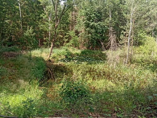 Frohnlach - Seehof - Hohe Aßlitz