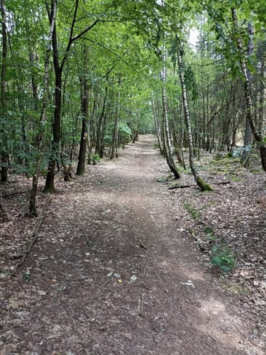 Frohnlach - Seehof - Hohe Aßlitz